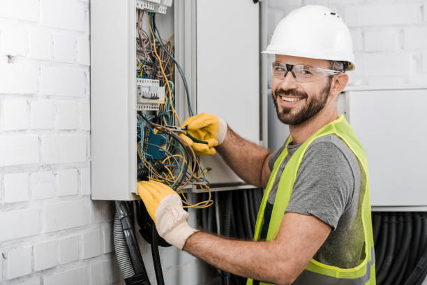 Best Electric Panel Repair  in Rehobeth, AL