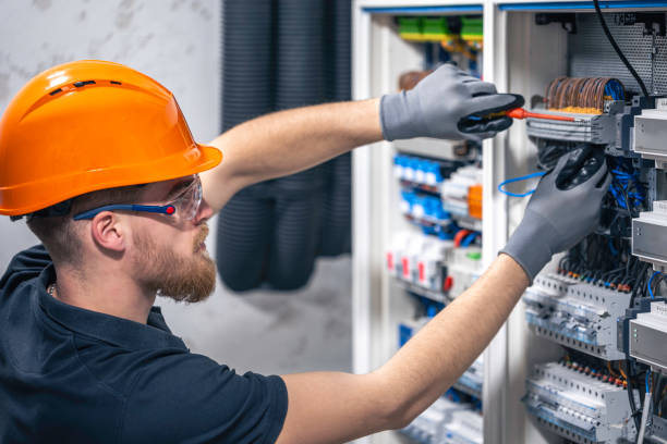 Best Electrical System Inspection  in Rehobeth, AL